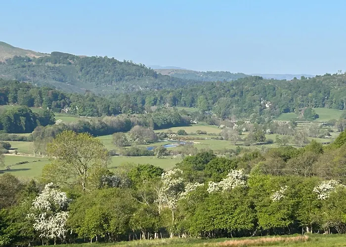 Llanerch