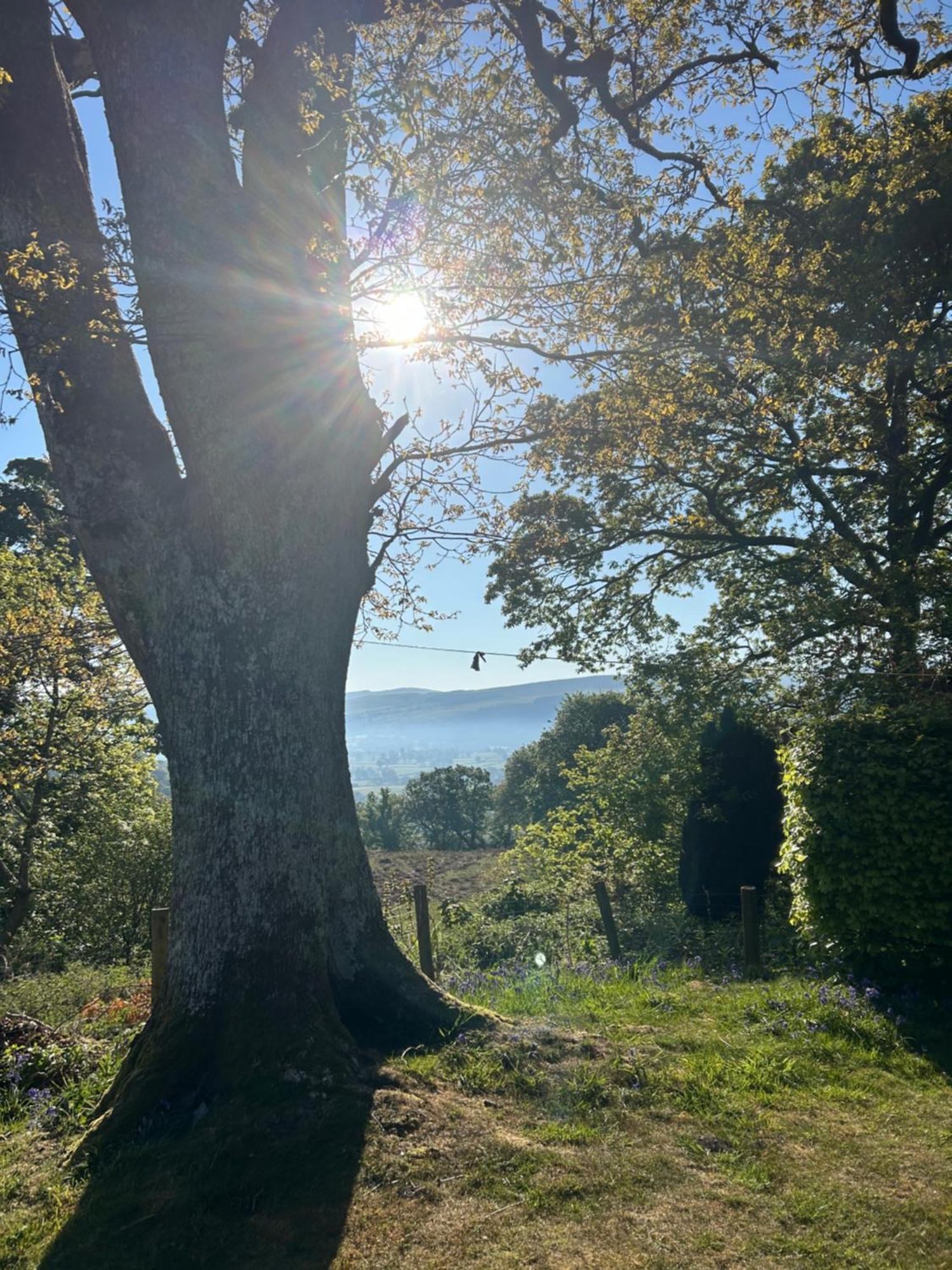 Llanerch * Bala